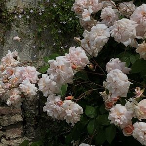 Meet your Posher, Lexie